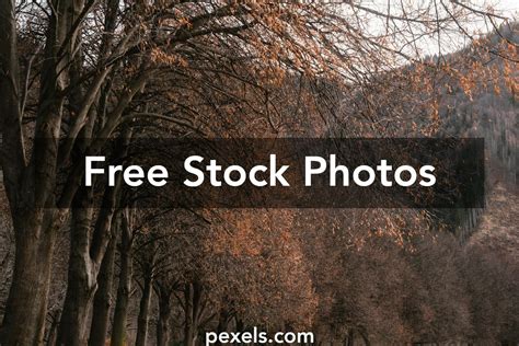 FREE cumshot Pictures